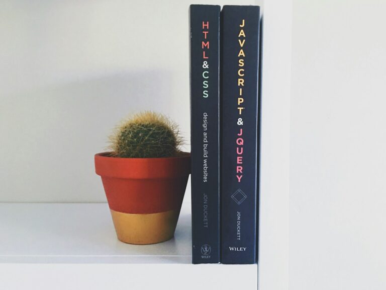 HTML and JavaScript books on a white shelf next to a small potted cactus